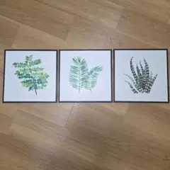 ボタニカルアートパネル 3枚セット 正方形