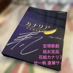 Item thumbnail for item 65610ff9-2e19-498c-8c2c-ca1efa123838