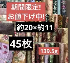 期間限定‼️23日(日)までの出品‼️お値下げ‼️
