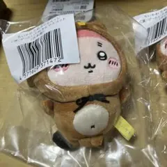 치이카와 누키다 몬쿠지