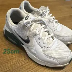 NIKE ウィメンズ エアマックス エクシー 100WHT/VINTG