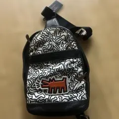 未使用級】 COACH コーチ キースヘリング コラボ リュック 吠える犬