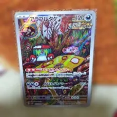 アラブルタケ AR