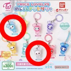 TWICE LOVELY'S めじるしアクセサリー　ナブリー　ダブリー