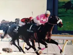 １９８５）サンデーサイレンス (Sunday Silence)写真額　競馬関係 1985）サンデーサイレンス (Sunday Silence)写真額 競馬関係