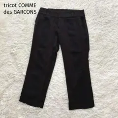 2026年最新】tricot COMME des GARCONS メンズ ショートパンツ・ハーフ