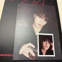 seventeen シーグリ 2023 ディノ