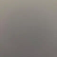 needles ワイドパンツ