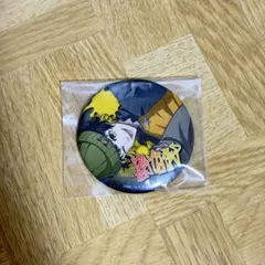 僕のヒーローアカデミア 原作缶バッジ 相澤消太 山田ひざし 白雲朧