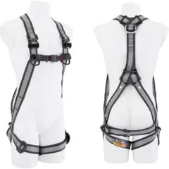 Item thumbnail for item b2b34ec2-83df-4597-be88-8306c19a57a4