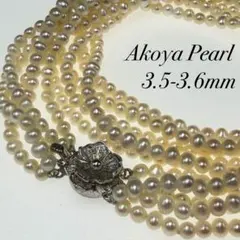 【希少】5連 アコヤ真珠 ベビーパール ネックレス 3.5-3.6mm