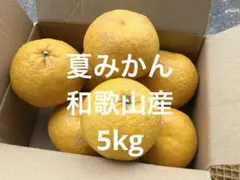 夏みかん 和歌山県産 5kg入りのサムネイル