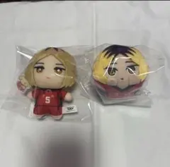 ハイキュー 孤爪研磨 セット