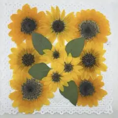 シロッコ様 リクエスト 2点 まとめ商品