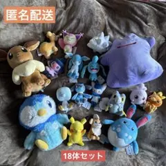 【新品タグ付】ポケットモンスター ぬいぐるみ 18体セット【まとめ売り】③