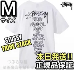 ステューシー TRIBE STACK Tシャツ Mサイズ ホワイト