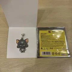 プネクド　トムジェリ　メタルチャーム　boynextdoor テサン