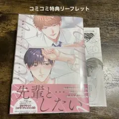 すみ子様 リクエスト 2点 まとめ商品