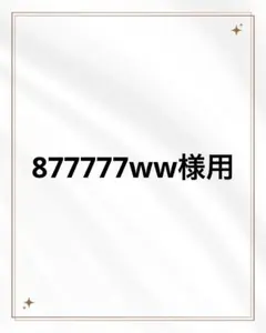 877777ww様用