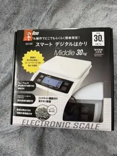 새로운 디지털 저울 30kg 1g 단위 상업용 저울