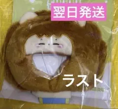 TREASURE REBOOT ソウルコン ペンライトカバー　ジェヒョク　のみ