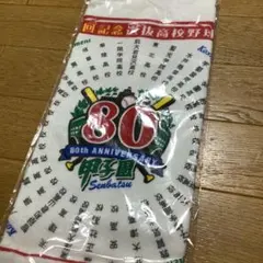 91回 甲子園グッズ タオル 応援 高校野球 選手権大会 2009年 新品