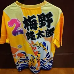 Item thumbnail for item 52b047d2-b5e8-4de2-b248-f3c6aa81a13e