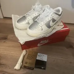 NIKE ナイキ　ダンク ロー ネクスト　ネイチャー　23センチ