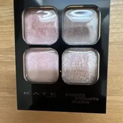ケイト　ポッピングシルエットシャドウ　PK-1 ラズベリーロゼポップ