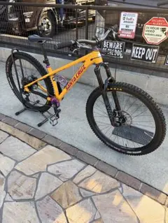 2026年最新】Santa CRUZ chameleonの人気アイテム - メルカリ