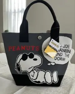 新品⭐︎SNOOPY スヌーピー　ニットトートバッグ　ニットバッグ①のサムネイル