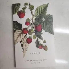 소설 보다: 봄 2025