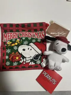 d*9様 【再出品】スヌーピー セット　巾着ぬいぐるみミラー３点プラス