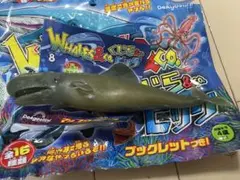 くじら&coビッグ　マッコウクジラのサムネイル