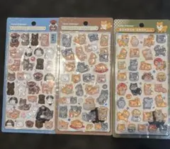 正規品　ボンボンドロップシール