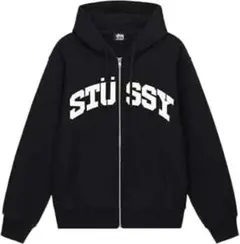 2026年最新】STUSSY タイプ：ジップアップ メンズ パーカーの人気