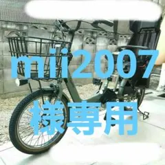 mii2007様専用