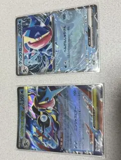 メガゲッコウガEX & ゲッコウガEX
