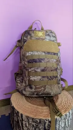 Item thumbnail for item e58e5a23-eb56-48af-a1c9-7054c6176d75