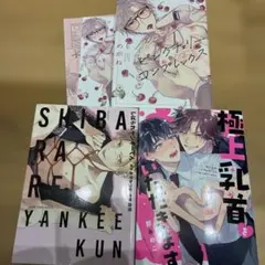 BL漫画まとめ売り