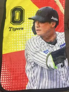 阪神タイガース　木浪聖也　シークレット12選手フォトブランケット