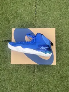 asics Nova surge (アシックス　ノバサージ)バスケットシューズ