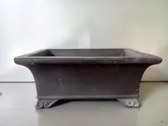 2025年最新】盆栽鉢 常滑の人気アイテム - メルカリ