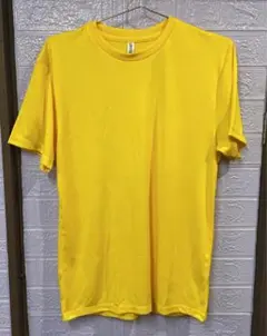 新品 Lサイズ ドライ Tシャツ glimmer 350-AIT デイジーのサムネイル