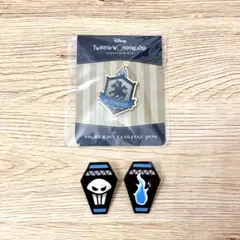 ツイステッドワンダーランド 寮章ピンズ＆アイコンピンズ イグニハイド