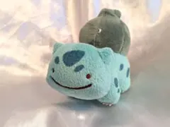 2026年最新】メタモン フシギダネの人気アイテム - メルカリ