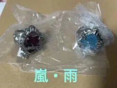 リボーン ニューボンゴレリング 嵐 雨