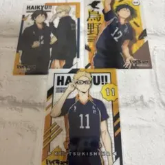 ハイキュー月島蛍、山口忠トレーディングカード