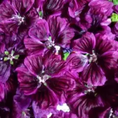 まつ様 リクエスト 3点 まとめ商品