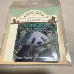 上野動物園限定 暁暁 ジャイアントパンダ アクリルマグネットのサムネイル